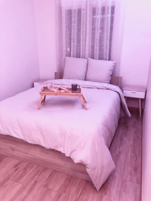 Superbe Appartement Tout Equipe, Le Nid D'Eva A Metz Gare, Parking Prive, Balcon, F2, 50M2, 3P Экстерьер фото