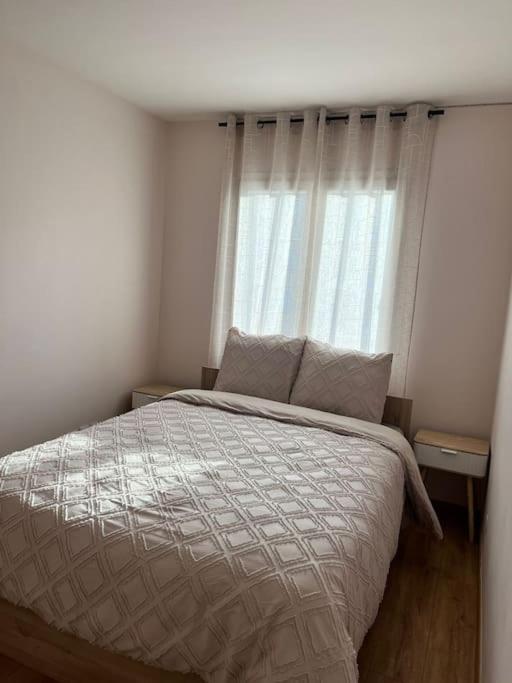 Superbe Appartement Tout Equipe, Le Nid D'Eva A Metz Gare, Parking Prive, Balcon, F2, 50M2, 3P Экстерьер фото